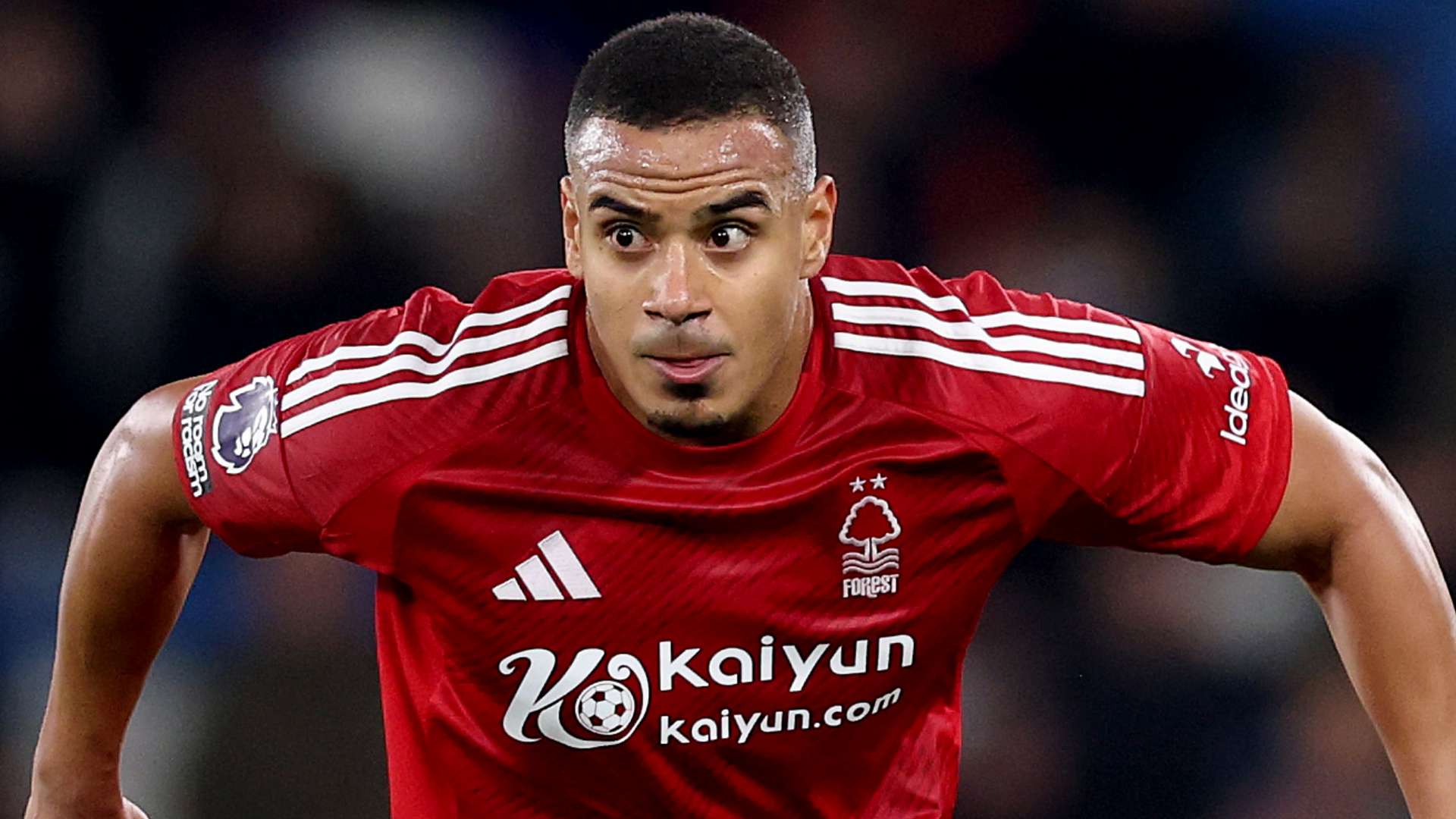 接下来的比 接下来的比