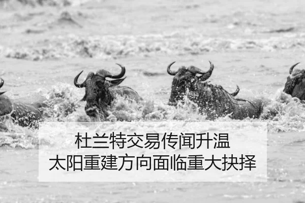 杜兰特交易传闻升温 太阳重建方向面临重大抉择